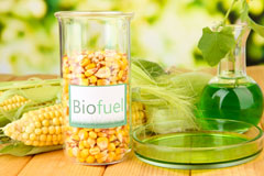 Leek biofuel availability