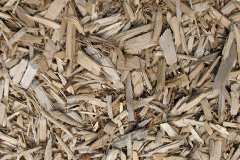 biomass boilers Leek