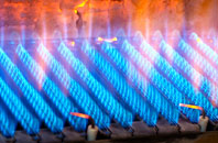Leek gas fired boilers